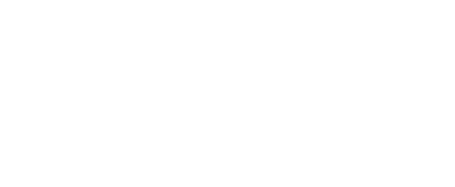 Enjoy natural shoes care Igusa Scent Shoes refresher